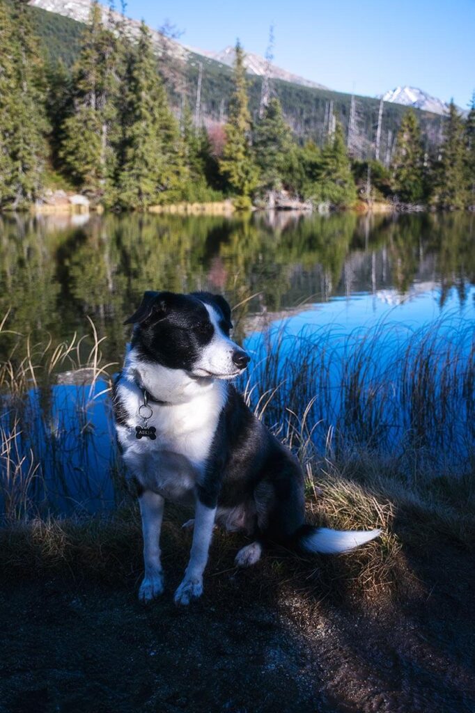 TANAP Liečebný dom Solisko - Jamské pleso