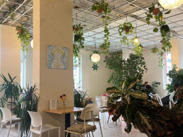 Lokál Kútik - bistro a kaviareň